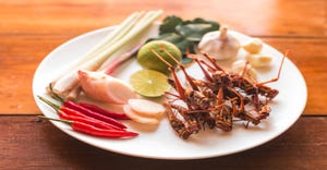 Grasshopper fried insect plates.jpg