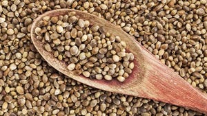 Hemp seed genetics can solve the 1% THC problem