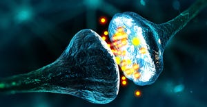 Market outlook positive for cognitive health products.jpg