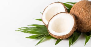 Nutiva’s MCT Protein Powder crafted with plants hits on keto, vegan trends shutterstock_1576909309.jpg