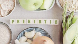 Prebiotic foods 